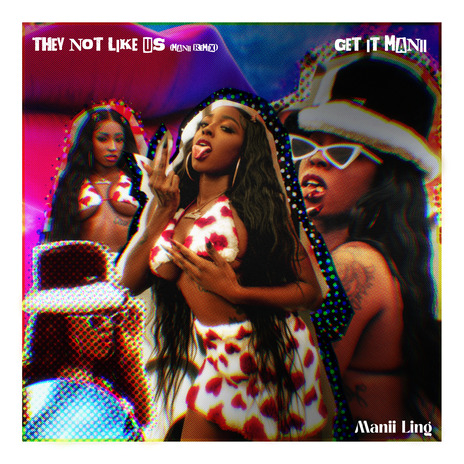 They Not Like Us (Mani Remix) | Boomplay Music