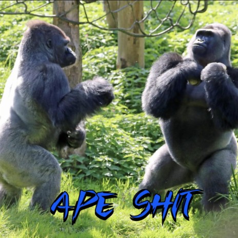 Ape Shit ft. Brudderman & twnmaccs | Boomplay Music