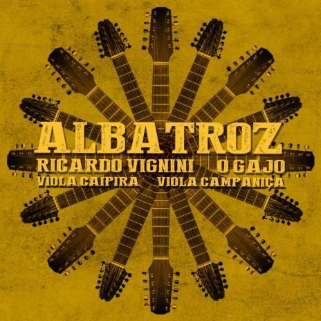 Albatroz ft. Ricardo Vignini | Boomplay Music