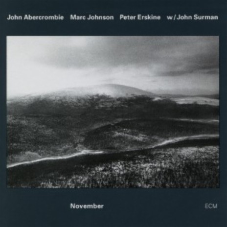 Ogeda ft. Marc Johnson, Peter Erskine & John Surman | Boomplay Music