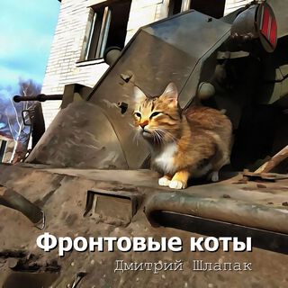 Фронтовые коты