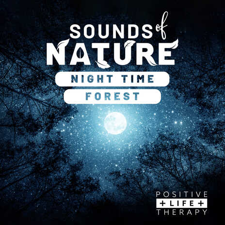 Sounds Of Nature Night Time Forest | Boomplay Music