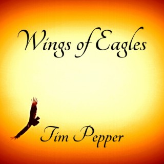 WIngs of Eagles