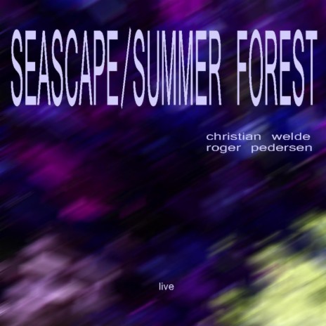 Seascape/Summer Forest Live (feat. Roger Pedersen) | Boomplay Music