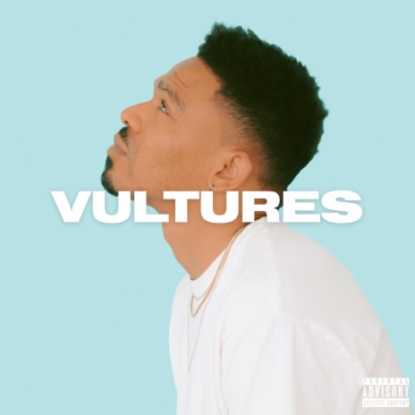 Vultures | Boomplay Music