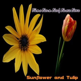 Sunflower and Tulip