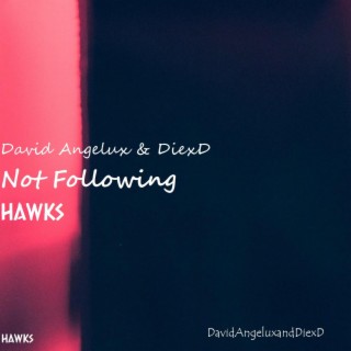 Not Following (feat. HAWKSmusic)