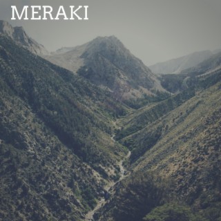 Meraki