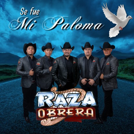 Se Fue Mi Paloma | Boomplay Music