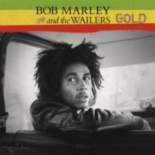 Journey With Bob Marley