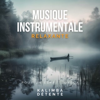 Musique instrumentale relaxante pour un esprit joyeux