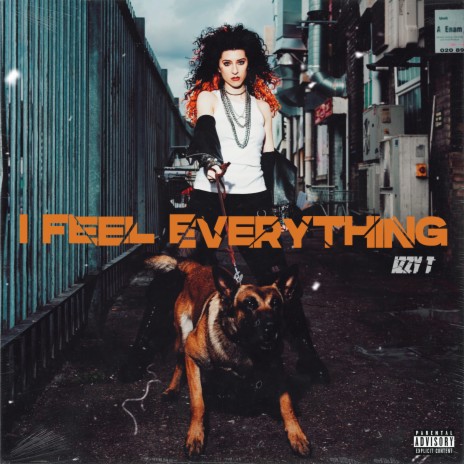 I Feel Everything | Boomplay Music