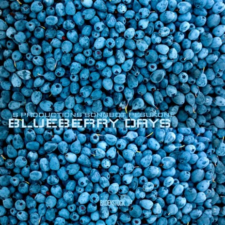 Blueberry Days ft. S productions & SongBot | Boomplay Music