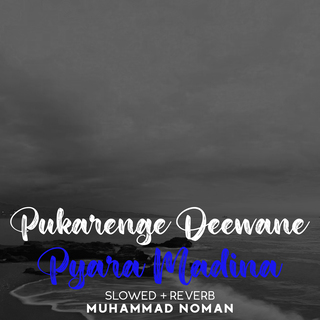 Pukarenge Deewane Pyara Madina Lofi