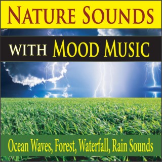 Nature Sounds with Mood Music (Ocean Waves, Forest, Waterfall, Rain Sounds)