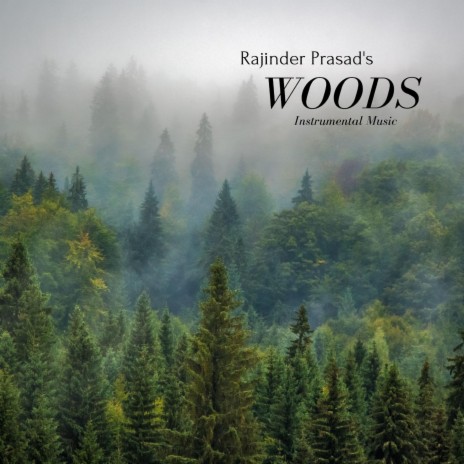Woods | Boomplay Music