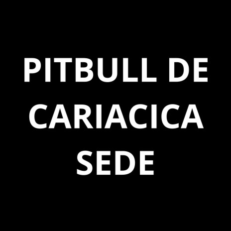 Pitbull de Cariacica Sede Light ft. Mc Thay Rj | Boomplay Music