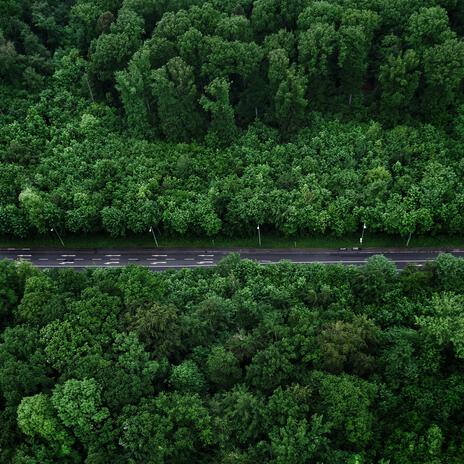 Surrounded By Nature | Boomplay Music