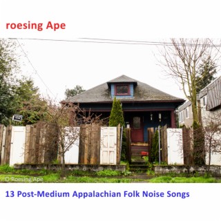 13 Post-Medium Appalachian Folk Noise Songs