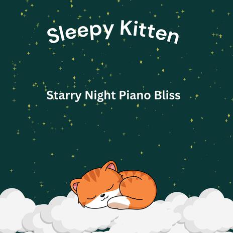 Starry Night Piano Bliss | Boomplay Music