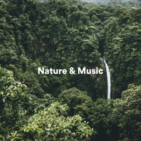 The Sky Is the Limit ft. La Naturaleza del Sueño & Nature Recordings