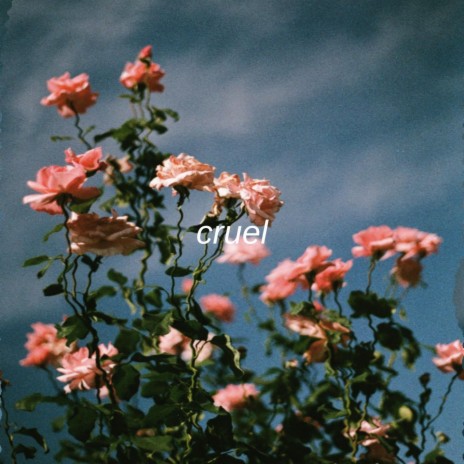 Cruel | Boomplay Music