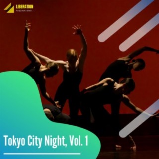 Tokyo City Night, Vol. 1