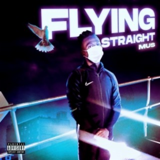 Flying Straight