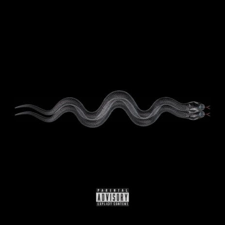 Snakes | Boomplay Music