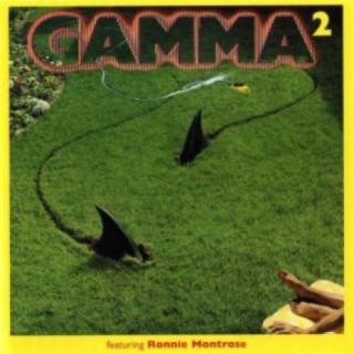 Gamma 2