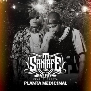 Planta Medicinal ft. Bubaseta lyrics | Boomplay Music