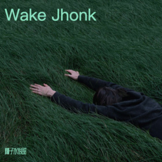 Wake Jhonk lyrics | Boomplay Music