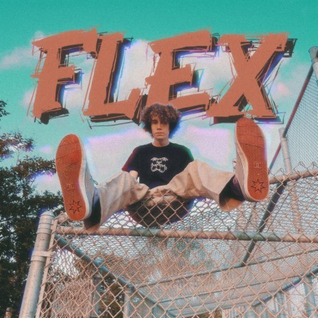 FLEX | Boomplay Music