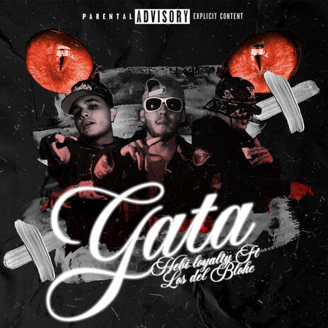 Gata ft. Los del Bloke | Boomplay Music