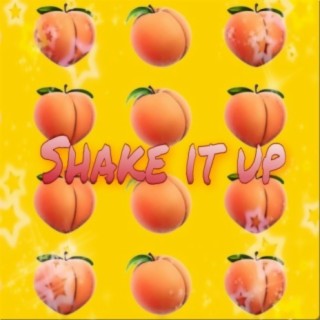 Shake It Up lyrics | Boomplay Music