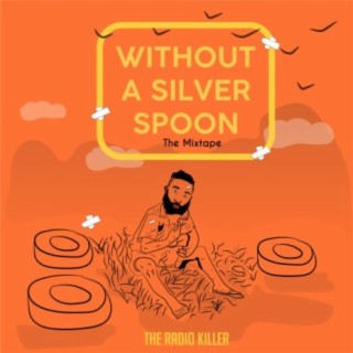 Without a Silver Spoon
