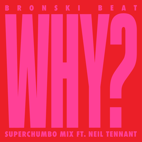 Why? (Superchumbo Mix Edit) [feat. Neil Tennant] | Boomplay Music