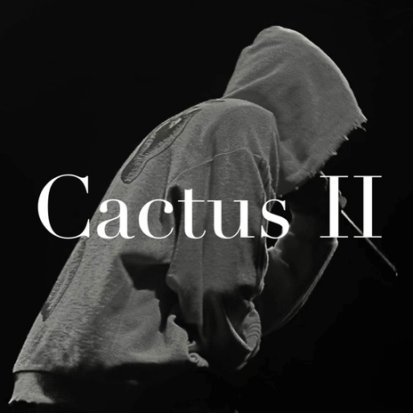 Cactus 2 | Boomplay Music