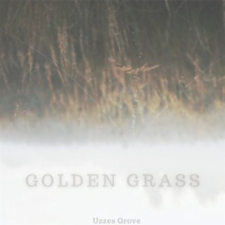 Golden Grass