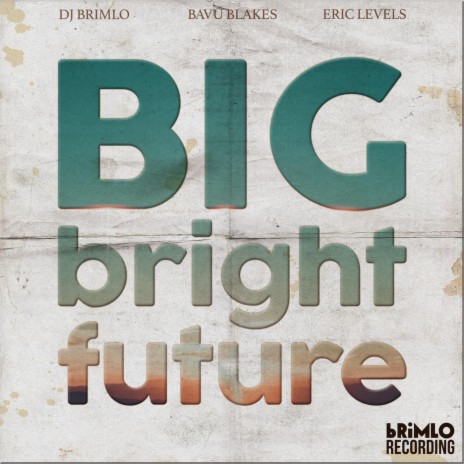 Big Bright Future (feat. Bavu Blakes & Eric Levels) | Boomplay Music