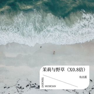 茉莉与野花 lyrics | Boomplay Music