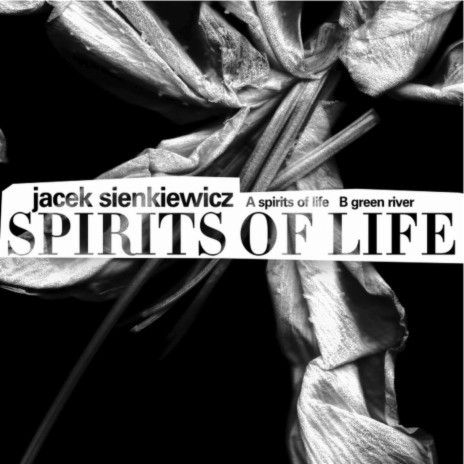 Spirits Of Life | Boomplay Music