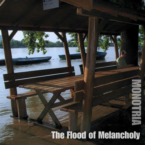 The Flood of Melancholy | Boomplay Music