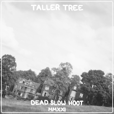 Taller Tree