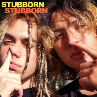 STUBBORN STUBBORN