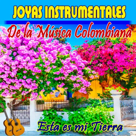 Alma de Colombia | Boomplay Music