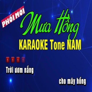 MƯA HỒNG KARAOKE Tone NAM