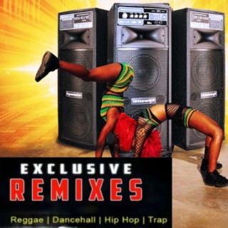 Dancehall Exclusive Remix, Vol. 1 (Reggi Sample Produced)
