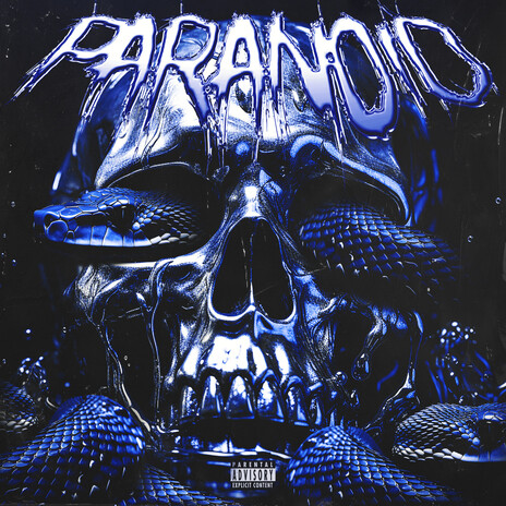 PARANOID ft. ACELUNE & DiskoBat | Boomplay Music