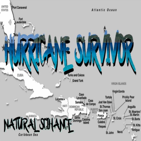 Hurricane Survivor | Boomplay Music